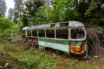 Old overgrown broken bus. Green post-apocalyptic concept
