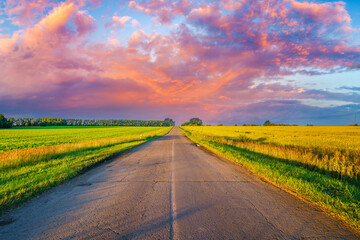Rural landscape with road and wheat field in a countryside at summer sunset