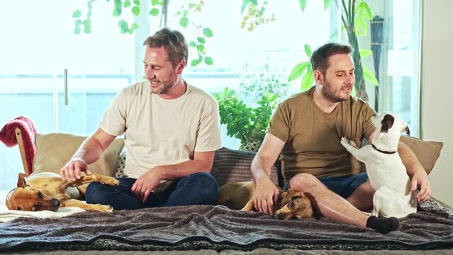 forty year old gay couple on the sofa at home in comfortable clothes petting their dogs
