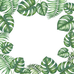 Watercolor tropical frames. Floral illustration