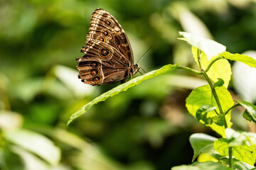 botanical garden in Prague three
