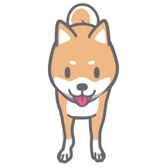 正面を向いた柴犬のベクターイラスト