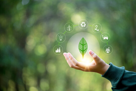 Hand holding green leaf with icons energy sources for renewable, sustainable development. Ecology concept. Technology with environment Icons over the Network connection on green background.