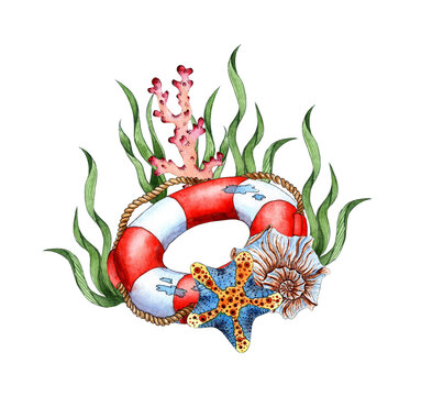 recommend clip art: Watercolor composition of a life buoy, seashells, algae, corals and starfish. Composition for posters, postcards, banners, flyers, covers, posters and other printing products. Isolated on white