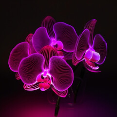 AI orchid flower 