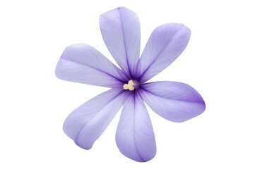 Periwinkle flower on white background. Generative AI.