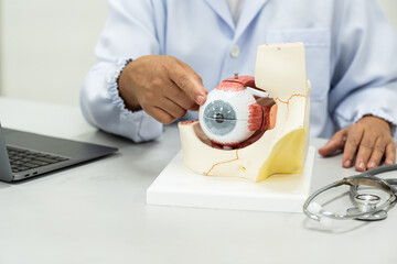 Ophthalmologist explain patient with eye anatomy model on white background.Part of human body model...