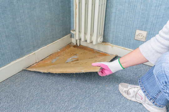 D&eacute;pose d'une moquette au sol.