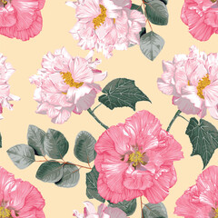 Seamless pattern floral with cotton rose flowers abatract background.Vector illustration hand drawn.For fabric fashion print design or product packaging.