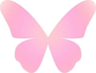 gradient butterfly