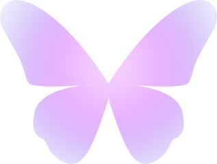 Obraz na płótnie Canvas y2k gradient butterfly 