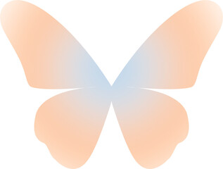 Butterfly Blur Y2k Aura