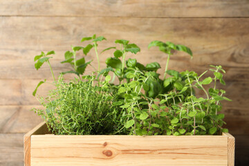 Crate with different aromatic herbs against wooden background