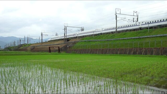 初夏の伊吹山を背景に走る東海道新幹線N700S （東海道新幹線 米原 - 岐阜羽島, 2023年5月）
