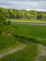 path in the park