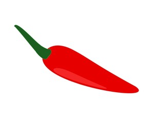 illustration of one chili on white background.