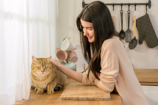 young asian woman enjoying morning with her cat on sunlit kitchen counter