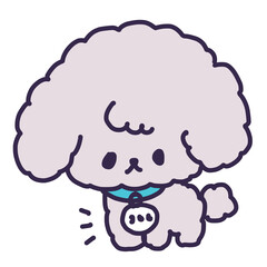 迷子札を首輪に付けたかわいいトイプードルの子犬のイラスト