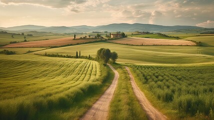 Obraz premium Beautiful forest at summer Generative AI