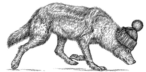 Obraz premium Vintage engraving isolated gray wolf set glasses dressed fashion illustration ink costume sketch. Wild dog background animal silhouette sunglasses hipster hat art. Black and white hand drawn image.