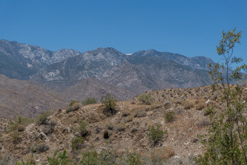 Fototapeta na wymiar Beautiful desert vista along the east branch of the Palm Canyon trail with snow capped mountain peak at the horizon in Palm Springs, Southern California