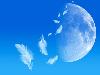 空に浮かぶ月と舞い落ちる羽根