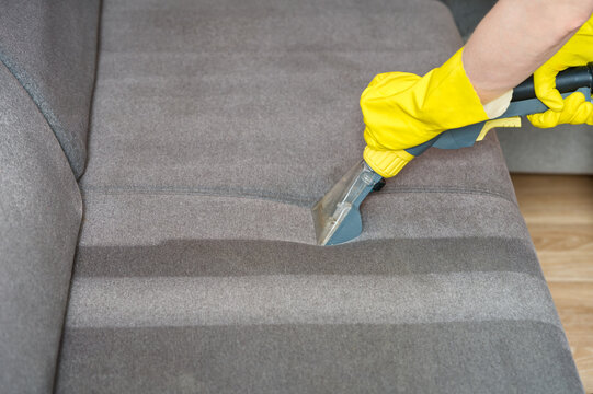 Textile sofa chemical cleaning with professionally extraction method. Upholstered furniture. domestic cleaning service. dust mite