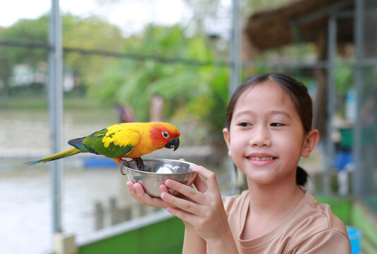 Happy Asian young girl kid holding Aluminium bowl feeding macaw bird animal in zoo.