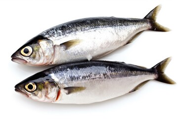 two colorful fish swimming together in a clear blue ocean Generative AI