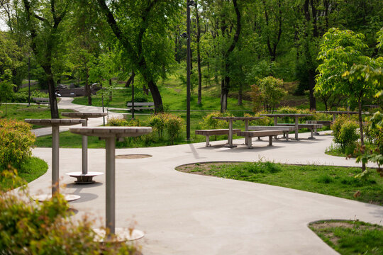 Wooden tables and benches in the summer park.