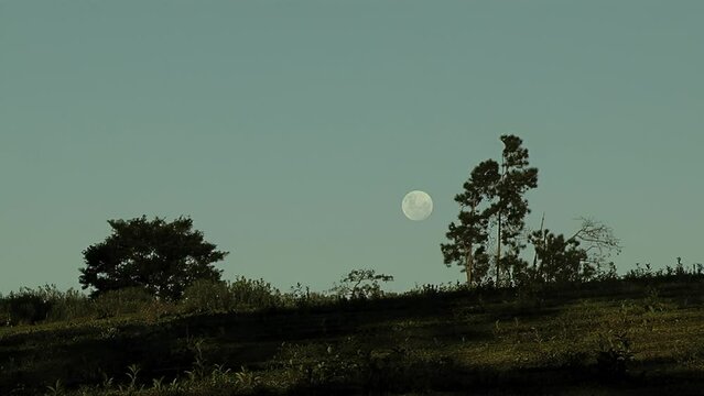 Full Moon in the Horizon Seen from a Countryside Field in Misiones Province, Argentina. 