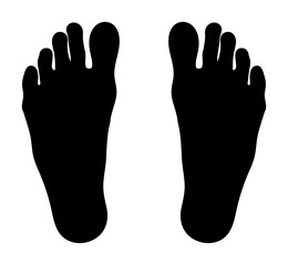 足の形