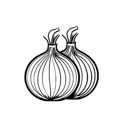 Onions vector illustration isolated on transparent background