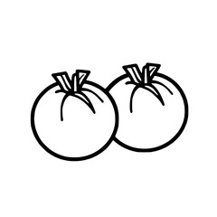 Tomatoes vector illustration isolated on transparent background