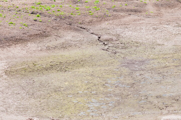 Texture of dried earth with clay and sand, close-up. The concept of the effects of climate change