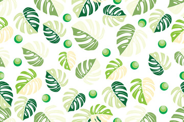Illustration, Monstera spotted leaves with green ball background.