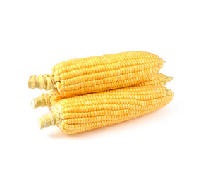 Raw Sweet corn on white background.