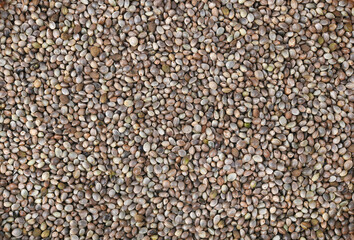Hemp seed pattern as background