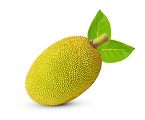 Jackfruit isolated on white background