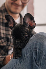 A young positive man is holding a puppy, a black French Bulldog, sitting on the windowsill in an apartment.The concept of care, training,raising of animals.Close-up,selective focus.