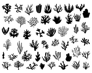 Set of Coral and Seaweed Silhouette, Sea Plants, Under the Ocean, Sea Life