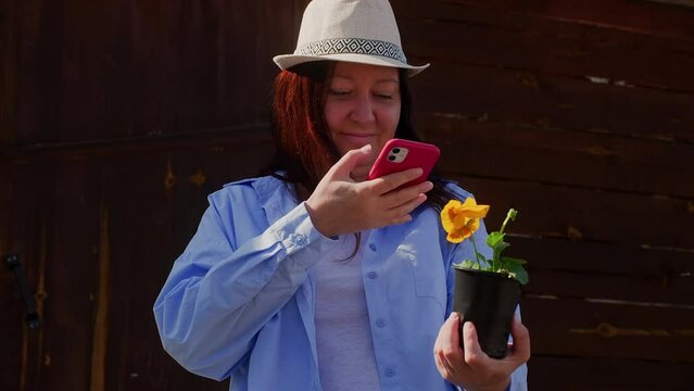 Woman gardener in sun hat taking picture of Pansy flower on smartphone resting on dacha in summer. Middle aged smiling relaxed female enjoying nature, sharing photos, videos in social media in phone. 