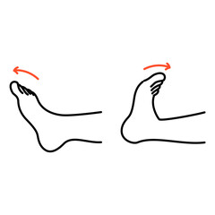 足首を曲げ伸ばしする運動