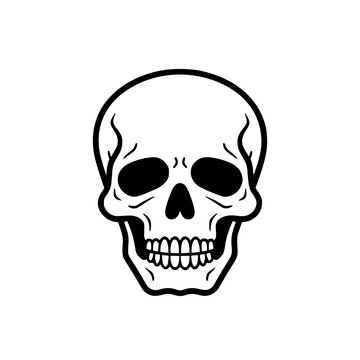 Skull vector illustration isolated on transparent background