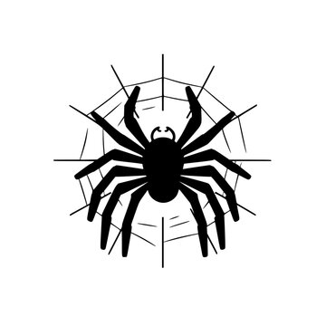 Spider on web vector illustration isolated on transparent background