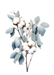 Naklejka na ściany i meble Watercolor cotton and eucalypt branches png
