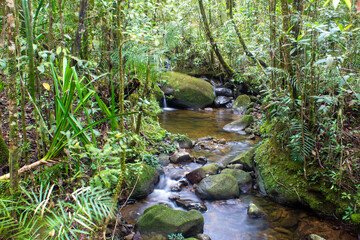 Naklejka na ściany i meble Beautiful small stream running along the Kinabalu National Park, Sabah, Malaysia 