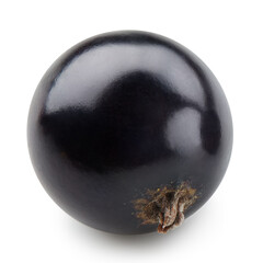 Black currant isolated