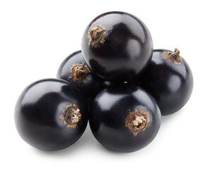 Black currant isolated