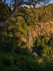 waterfall in the forest vertical orientation